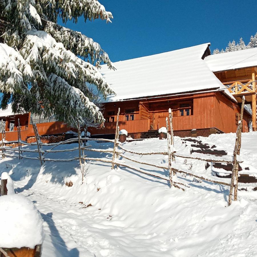 Приватна Садиба "Світлиця Гуцульщини" Worochta Exterior foto