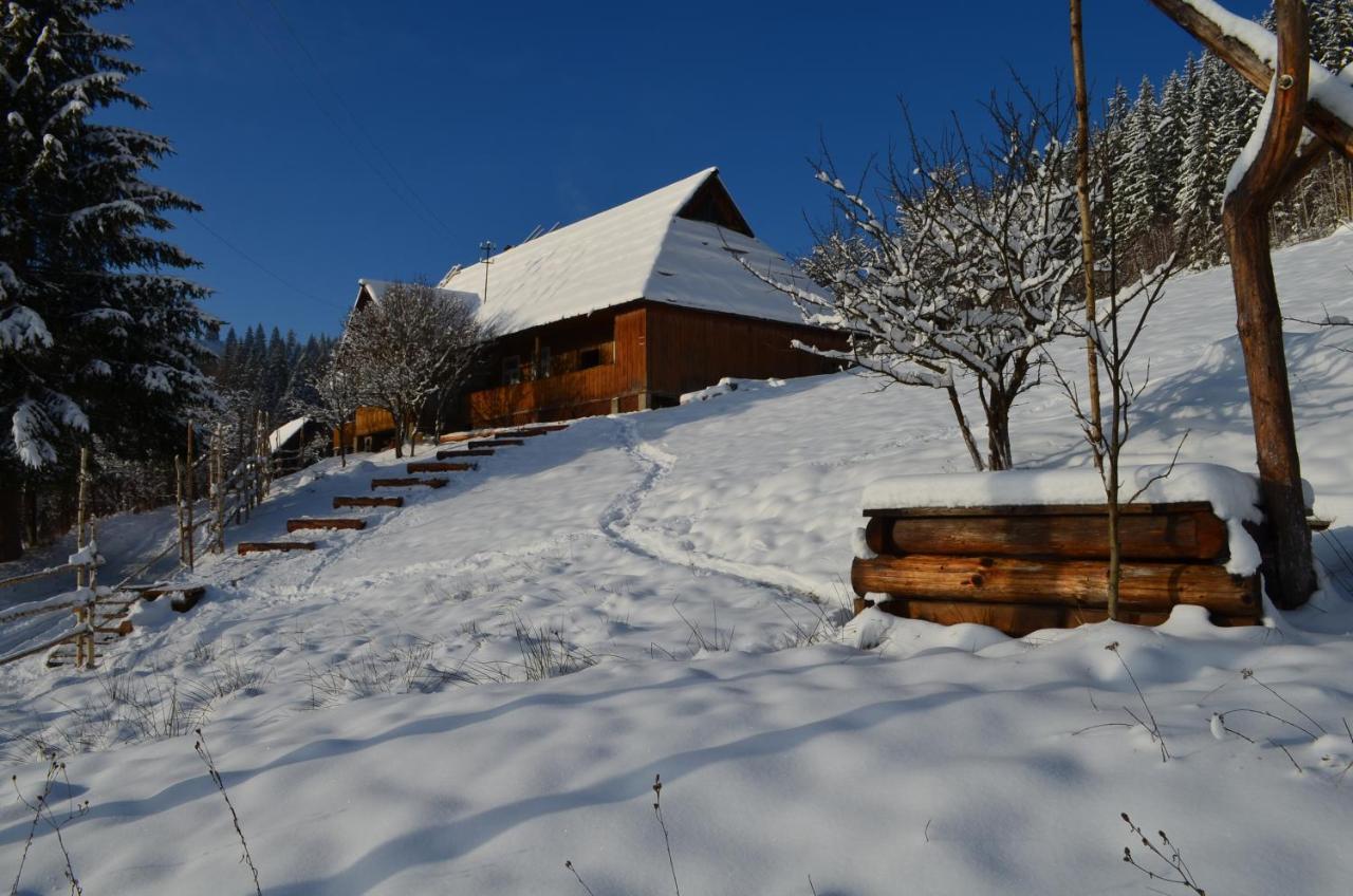 Приватна Садиба "Світлиця Гуцульщини" Worochta Exterior foto